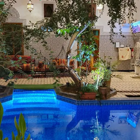 Riad Raffaa-3